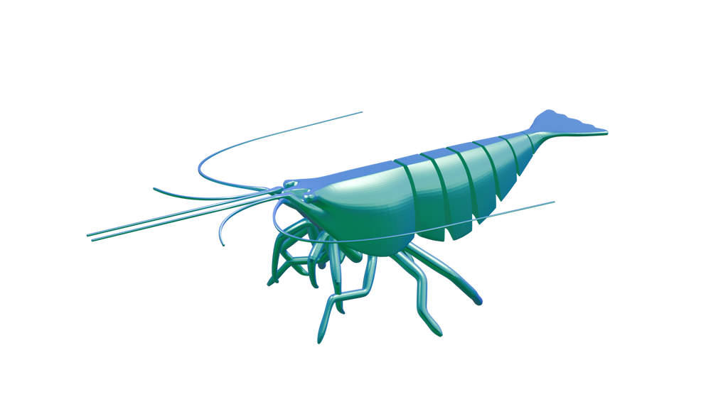 Shrimp Fidget Toy