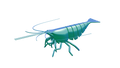 Shrimp Fidget Toy