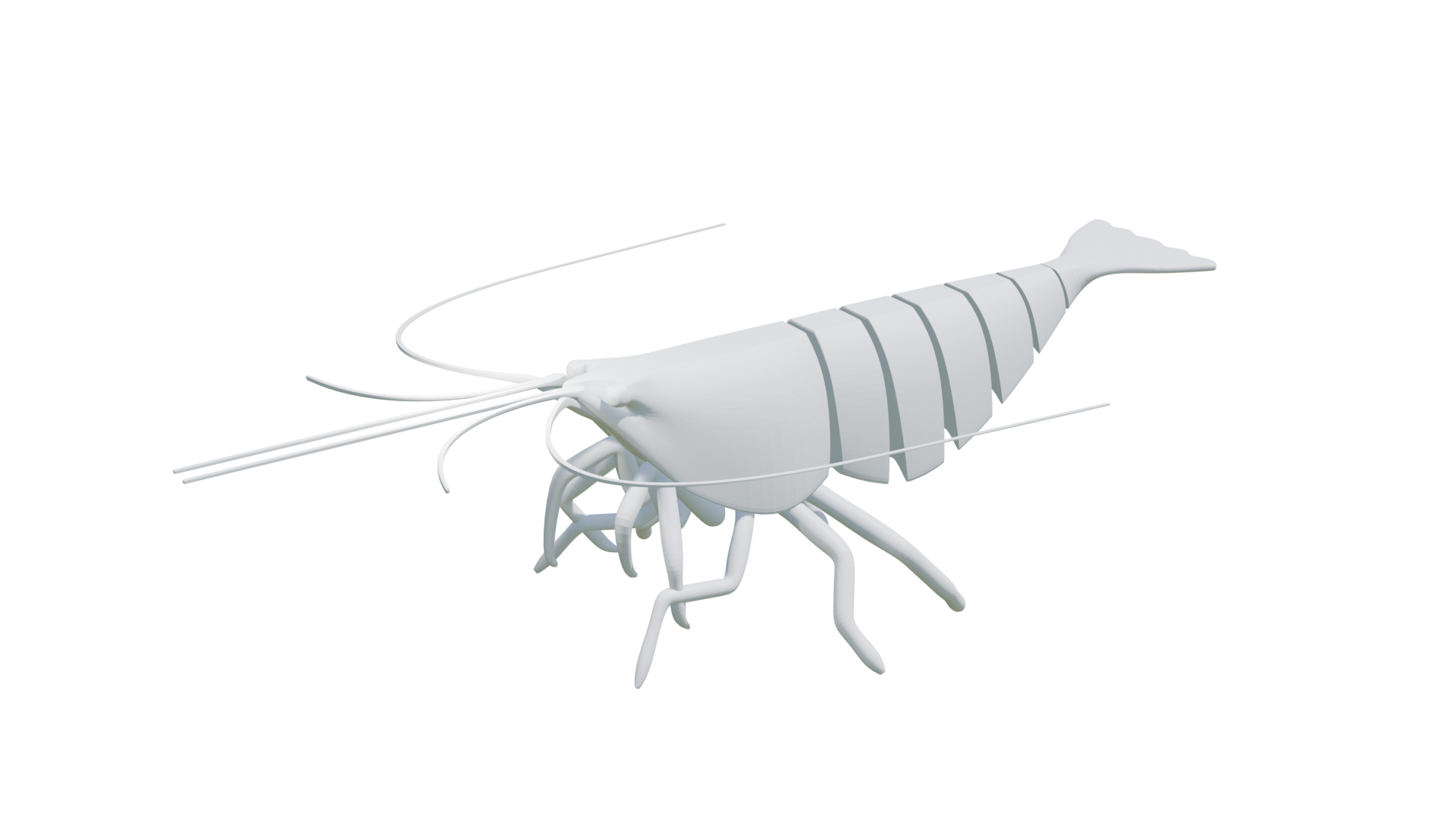 Shrimp Fidget Toy