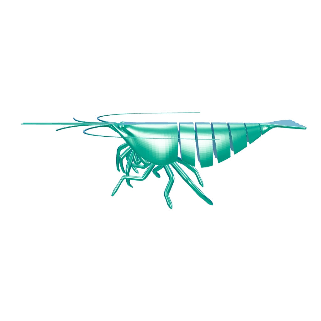 Shrimp Fidget Toy
